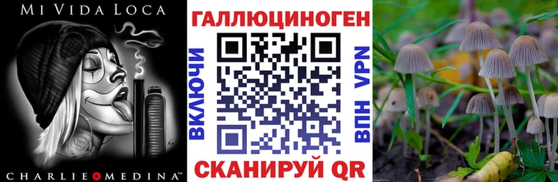 Купить где  Северск  Псилоцибиновые грибы прущие грибы 